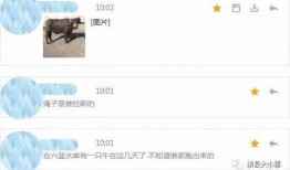 牛不啦最新爆料内容,娱乐圈最新爆料内容大起底