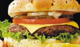 汉堡肉饼爆料视频教程下载,视频教程精华概述